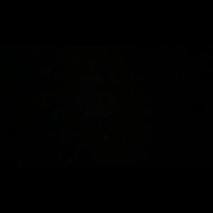 Meet your Posher, Jemalle